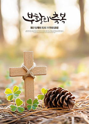 PSD 편집이미지 기독교 부활절 사람없음 햇빛 천주교 예수 축복 클로버 숲 솔방울 솔잎 노끈 나무십자가 이미지편집 기념일 종교 줄 컨셉 십자가 잎 태양 신_종교 파일형식