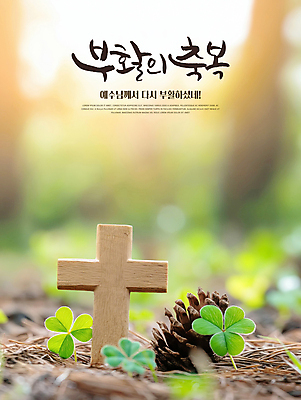 PSD 편집이미지 기독교 부활절 사람없음 햇빛 천주교 예수 축복 클로버 숲 솔방울 솔잎 나무십자가 이미지편집 기념일 종교 컨셉 십자가 잎 태양 신_종교 파일형식