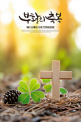 PSD 편집이미지 기독교 부활절 사람없음 햇빛 천주교 예수 축복 클로버 숲 솔방울 솔잎 나무십자가 이미지편집 기념일 종교 컨셉 십자가 잎 태양 신_종교 파일형식