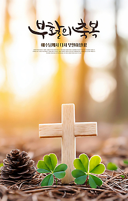 PSD 편집이미지 기독교 부활절 사람없음 햇빛 천주교 예수 축복 클로버 숲 솔방울 솔잎 나무십자가 이미지편집 기념일 종교 컨셉 십자가 잎 태양 신_종교 파일형식