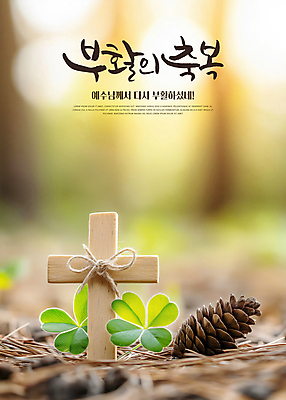 PSD 편집이미지 기독교 부활절 사람없음 햇빛 천주교 예수 축복 클로버 숲 솔방울 솔잎 노끈 나무십자가 이미지편집 기념일 종교 줄 컨셉 십자가 잎 태양 신_종교 파일형식