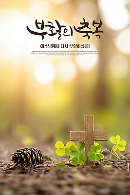 PSD 편집이미지 기독교 부활절 사람없음 햇빛 천주교 예수 축복 클로버 숲 솔방울 솔잎 나무십자가 이미지편집 기념일 종교 컨셉 십자가 잎 태양 신_종교 파일형식