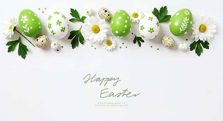 PSD 편집이미지 기독교 사람없음 초록색 풀잎 데이지 부활절계란 메추리알 카피스페이스 이미지편집 꽃 종교 컬러 잎 부활절 계란 알 공백 풀_식물 파일형식