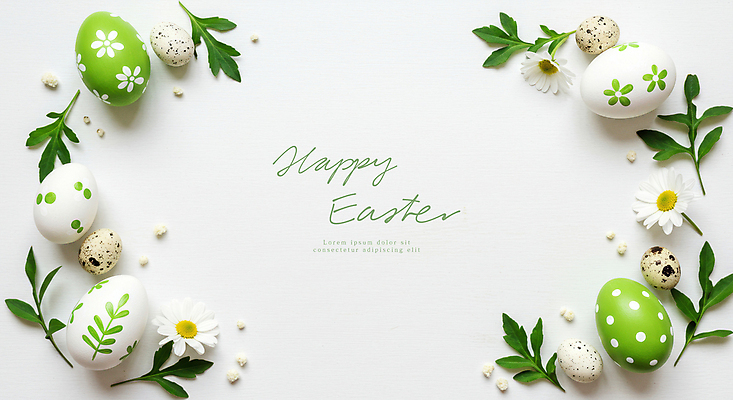 PSD 편집이미지 기독교 프레임 사람없음 초록색 풀잎 데이지 부활절계란 메추리알 카피스페이스 이미지편집 꽃 종교 컬러 잎 부활절 계란 알 공백 풀_식물 파일형식