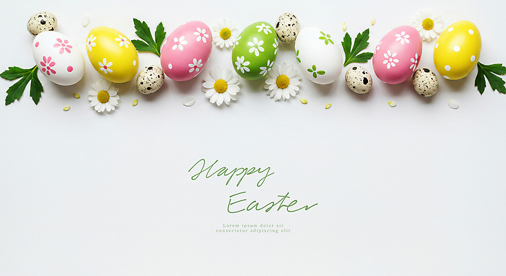 PSD 편집이미지 기독교 사람없음 컬러풀 풀잎 데이지 부활절계란 메추리알 카피스페이스 이미지편집 꽃 종교 컬러 잎 부활절 계란 알 공백 풀_식물 파일형식