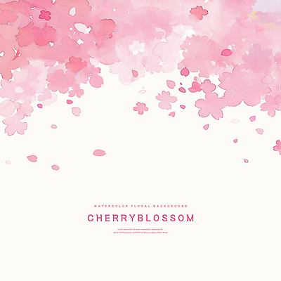 PSD 꽃잎 분홍색 꽃백그라운드 일러스트 수채화 사람없음 벚꽃 국내일러스트 꽃 컬러 백그라운드 파일형식