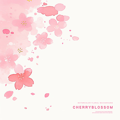PSD 꽃잎 분홍색 꽃백그라운드 일러스트 수채화 사람없음 벚꽃 국내일러스트 꽃 컬러 백그라운드 파일형식