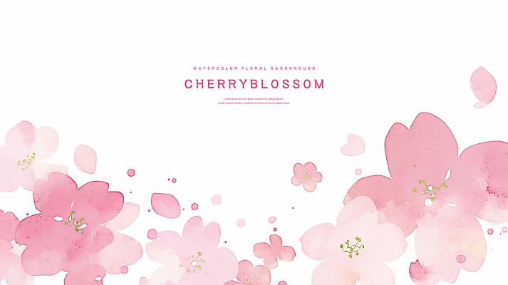 PSD 꽃잎 분홍색 꽃백그라운드 일러스트 수채화 사람없음 벚꽃 국내일러스트 꽃 컬러 백그라운드 파일형식