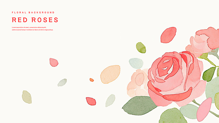 PSD 꽃잎 분홍색 잎 꽃백그라운드 일러스트 수채화 사람없음 장미 국내일러스트 식물 꽃 컬러 백그라운드 파일형식