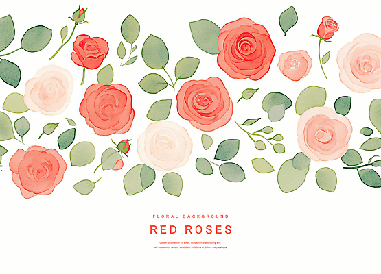 PSD 분홍색 잎 꽃백그라운드 일러스트 수채화 사람없음 장미 국내일러스트 식물 꽃 컬러 백그라운드 파일형식