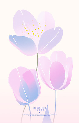 PSD 디자인 분홍색 잎 일러스트 사람없음 튤립 심플 홀로그램 국내일러스트 식물 꽃 컬러 파일형식