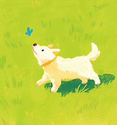 JPG 나비 일러스트 잔디 사람없음 연두색 평화 봄 산책 강아지 감성 개목걸이 국내일러스트 AI일러스트 AI콘텐츠 식물 계절 곤충 컨셉 휴식 초록색 반려동물 개 애견용품 파일형식