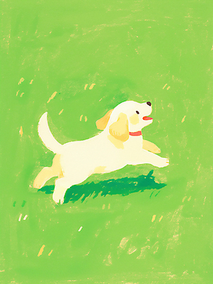 JPG 일러스트 잔디 사람없음 연두색 달리기 평화 봄 산책 강아지 감성 개목걸이 국내일러스트 AI일러스트 AI콘텐츠 식물 계절 컨셉 모션 휴식 초록색 반려동물 개 애견용품 파일형식