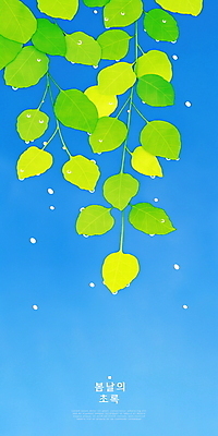 PSD 식물 일러스트 자연 나뭇잎 사람없음 초록색 파란색 평화 봄풍경 물방울 국내일러스트 컬러 컨셉 잎 풍경 봄 생태계 파일형식