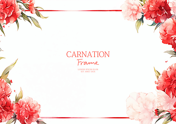 PSD 잎 일러스트 수채화 사람없음 빨간색 어버이날 카네이션 감사 가정의달 꽃프레임 카피스페이스 국내일러스트 식물 기념일 꽃 감정 컬러 프레임 공백 5월 파일형식