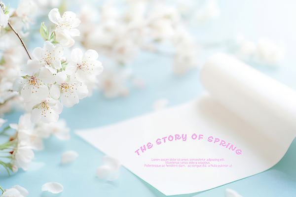 PSD 편집이미지 꽃잎 종이 하늘색 봄꽃 자연 사람없음 벚꽃 나뭇가지 카피스페이스 이미지편집 나무 꽃 파란색 봄 공백 생태계 파일형식