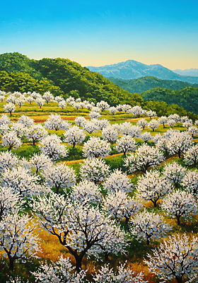 JPG 일러스트 하늘 사람없음 노을 봄풍경 벚나무 그림 산속 유화 국내일러스트 AI일러스트 AI콘텐츠 자연요소 나무 산 미술 풍경 봄 벚꽃 파일형식