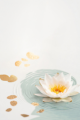 JPG 편집이미지 불교 자연 연꽃 사람없음 평화 연못 수면 금가루 편집실사 AI포토 AI콘텐츠 꽃 종교 컨셉 물 가루 CG 생태계 파일형식