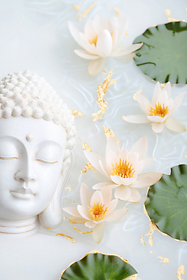 JPG 편집이미지 얼굴 불교 연꽃 미소 사람없음 평화 눈감음 수면 연잎 금가루 부처님상 편집실사 AI포토 AI콘텐츠 꽃 종교 컨셉 잎 모션 표정 신체부위 물 가루 불상 CG 부처 파일형식