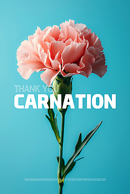 PSD 편집이미지 꽃잎 포스터 하늘색 사람없음 카네이션 감사 비비드 색감 미니멀리스트 이미지편집 꽃 감정 파란색 파일형식