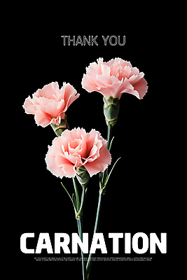 PSD 편집이미지 꽃잎 포스터 사람없음 검은색 카네이션 감사 비비드 색감 미니멀리스트 이미지편집 꽃 감정 컬러 파일형식