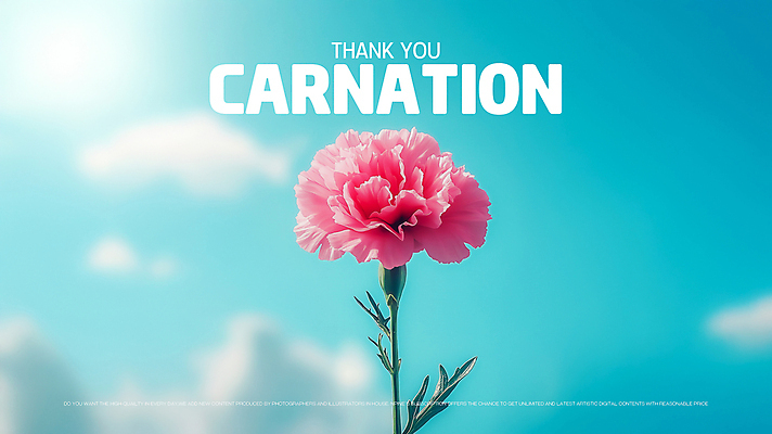 PSD 편집이미지 꽃잎 포스터 하늘 사람없음 햇빛 카네이션 감사 비비드 색감 미니멀리스트 이미지편집 꽃 감정 태양 파일형식