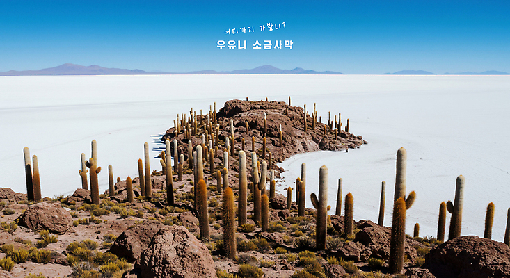 PSD 편집이미지 해외풍경 여행 자연 하늘 선인장 사람없음 환경 바위 볼리비아 이미지편집 우유니사막 식물 해외 아메리카 풍경 돌_바위 생태계 소금사막 파일형식