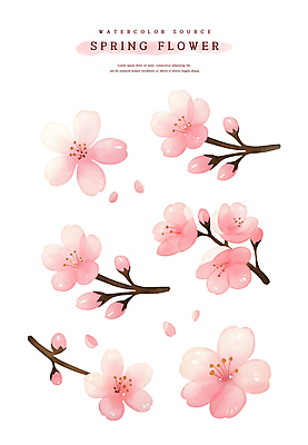 PSD 계절 꽃잎 꽃 분홍색 스티커 일러스트 봄꽃 자연 수채화 사람없음 세트 봄 벚꽃 나뭇가지 소스 엘리먼트 국내일러스트 나무 식물 컬러 양념 생태계 파일형식