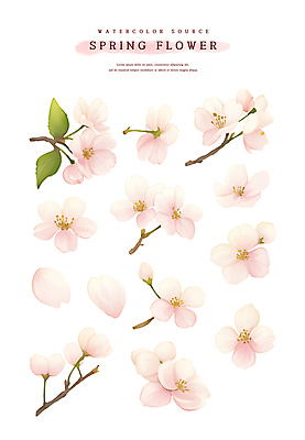 PSD 계절 꽃잎 꽃 분홍색 스티커 잎 일러스트 봄꽃 자연 수채화 사람없음 세트 봄 벚꽃 나뭇가지 소스 엘리먼트 국내일러스트 나무 식물 컬러 양념 생태계 파일형식