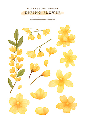 PSD 계절 꽃잎 꽃 스티커 잎 일러스트 봄꽃 자연 수채화 사람없음 세트 노란색 봄 소스 개나리 엘리먼트 국내일러스트 식물 컬러 양념 생태계 파일형식