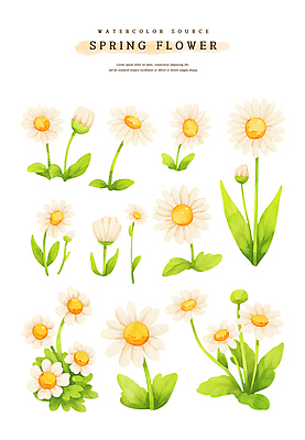 PSD 계절 꽃 스티커 일러스트 봄꽃 자연 수채화 사람없음 초록색 연두색 세트 노란색 봄 풀잎 소스 꽃봉오리 데이지 엘리먼트 국내일러스트 식물 컬러 잎 양념 풀_식물 생태계 파일형식