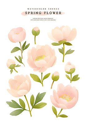 PSD 계절 꽃 분홍색 스티커 잎 일러스트 봄꽃 자연 수채화 사람없음 세트 봄 소스 꽃봉오리 모란 엘리먼트 작약 국내일러스트 식물 컬러 양념 생태계 파일형식