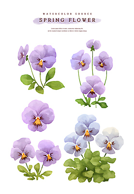 PSD 계절 꽃 스티커 잎 일러스트 봄꽃 자연 수채화 사람없음 세트 보라색 봄 소스 팬지 엘리먼트 국내일러스트 식물 컬러 양념 생태계 파일형식