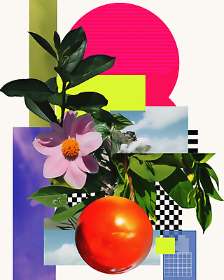 JPG 도형 구름 편집이미지 꽃 스티커 하늘 사람없음 컬러풀 빈티지 풀잎 복고 체크무늬 콜라주 겹침 구성 편집실사 AI컴퓨터그래픽 AI콘텐츠 자연요소 식물 컬러 컨셉 잎 무늬 풀_식물 CG 파일형식