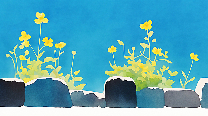 JPG 일러스트 하늘 수채화 돌담 사람없음 파란색 들꽃 풀잎 국내일러스트 AI일러스트 AI콘텐츠 꽃 컬러 잎 담장 돌_바위 풀_식물 파일형식