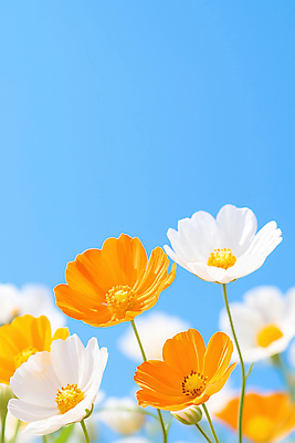 JPG 편집이미지 하늘색 잎 꽃밭 봄꽃 자연 하늘 풍경 사람없음 봄풍경 편집실사 AI포토 AI콘텐츠 식물 꽃 파란색 봄 CG 생태계 파일형식