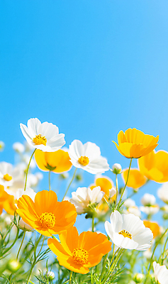 JPG 편집이미지 하늘색 잎 꽃밭 봄꽃 자연 하늘 풍경 사람없음 봄풍경 편집실사 AI포토 AI콘텐츠 식물 꽃 파란색 봄 CG 생태계 파일형식