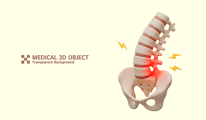 PSD 편집이미지 의학 사람없음 노란색 3D 허리 척추 관절 골반 엉덩이뼈 허리뼈 허리통증 편집3D 컬러 뼈 신체부위 고통 디지털합성 파일형식
