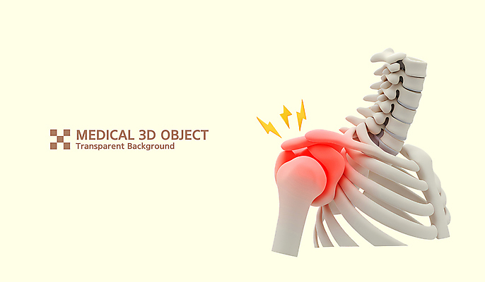 PSD 편집이미지 의학 사람없음 노란색 3D 어깨 관절 갈비뼈 목뼈 어깨통증 편집3D 컬러 뼈 신체부위 질병 디지털합성 파일형식
