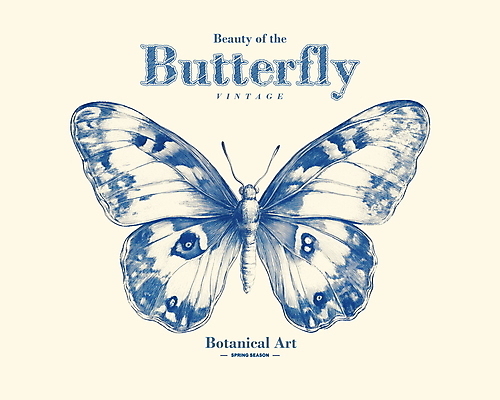 PSD 나비 일러스트 사람없음 봄 빈티지 고급 우아함 고풍 세련 국내일러스트 계절 곤충 컨셉 파일형식
