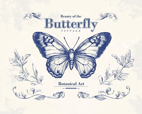 PSD 나비 잎 일러스트 사람없음 봄 빈티지 고급 우아함 고풍 세련 국내일러스트 식물 계절 곤충 컨셉 파일형식