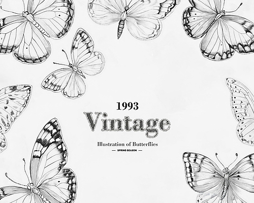 PSD 나비 일러스트 사람없음 봄 빈티지 고급 우아함 고풍 세련 국내일러스트 계절 곤충 컨셉 파일형식