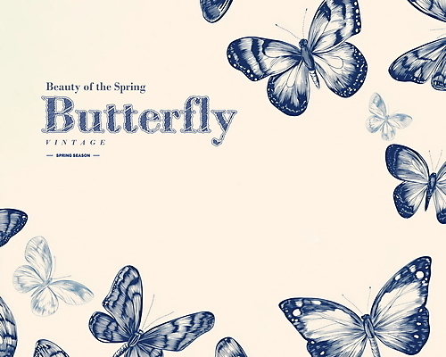 PSD 나비 일러스트 사람없음 봄 빈티지 고급 우아함 고풍 세련 국내일러스트 계절 곤충 컨셉 파일형식