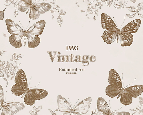 PSD 나비 잎 일러스트 사람없음 봄 빈티지 고급 우아함 고풍 세련 국내일러스트 식물 계절 곤충 컨셉 파일형식