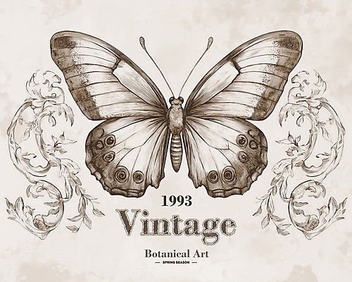 PSD 나비 잎 일러스트 사람없음 봄 빈티지 고급 우아함 고풍 세련 국내일러스트 식물 계절 곤충 컨셉 파일형식