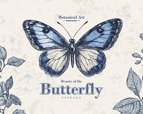 PSD 나비 잎 일러스트 사람없음 봄 빈티지 고급 우아함 고풍 세련 국내일러스트 식물 계절 곤충 컨셉 파일형식