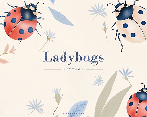 PSD 디자인 꽃 곤충 잎 일러스트 사람없음 파란색 빈티지 무당벌레 연분홍색 국내일러스트 식물 동물 분홍색 컬러 컨셉 파일형식