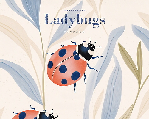 PSD 디자인 곤충 잎 일러스트 사람없음 파란색 빈티지 무당벌레 연분홍색 국내일러스트 식물 동물 분홍색 컬러 컨셉 파일형식