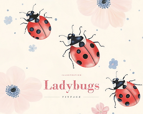 PSD 디자인 꽃 곤충 일러스트 사람없음 파란색 빈티지 무당벌레 연분홍색 국내일러스트 식물 동물 분홍색 컬러 컨셉 파일형식