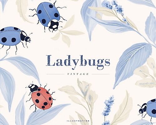 PSD 디자인 꽃 곤충 잎 일러스트 사람없음 파란색 빈티지 무당벌레 국내일러스트 식물 동물 컬러 컨셉 파일형식